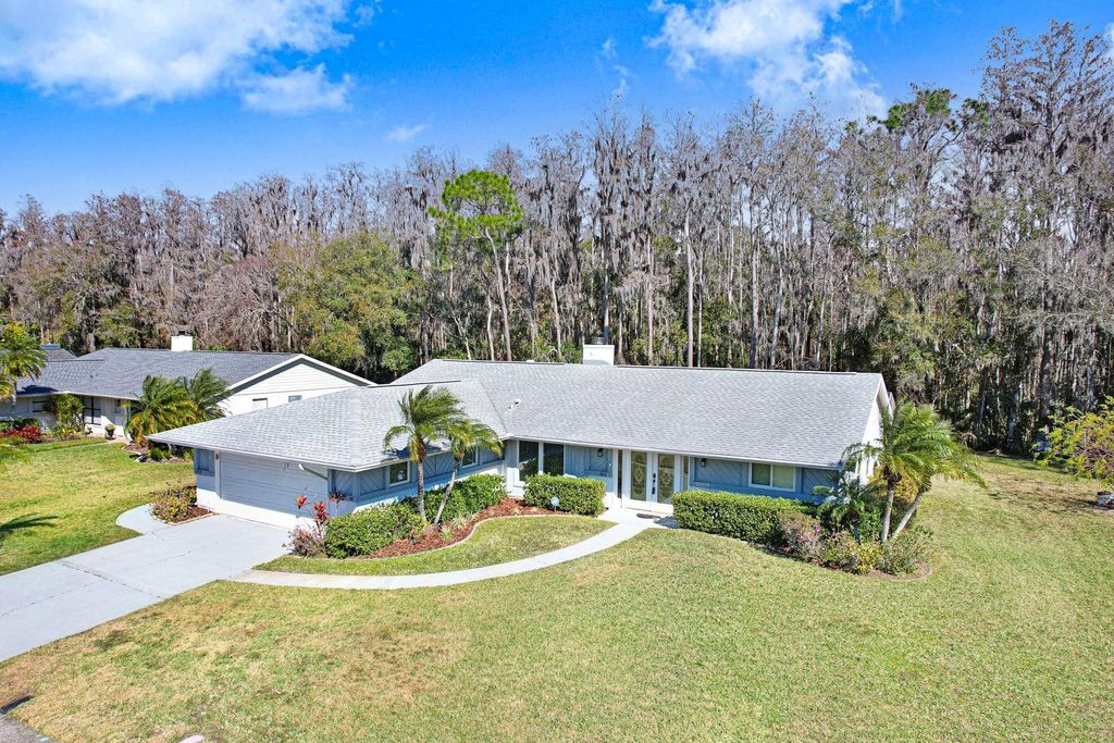 Photo of 501 Lakeview Drive, Oldsmar, FL 34677 (MLS # TB8470254)