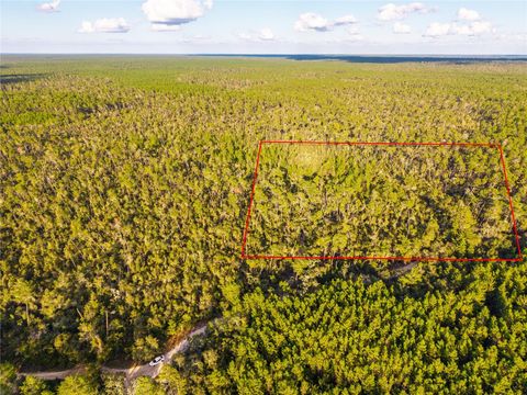 NICATOON RETREAT UMATILLA FL 32784