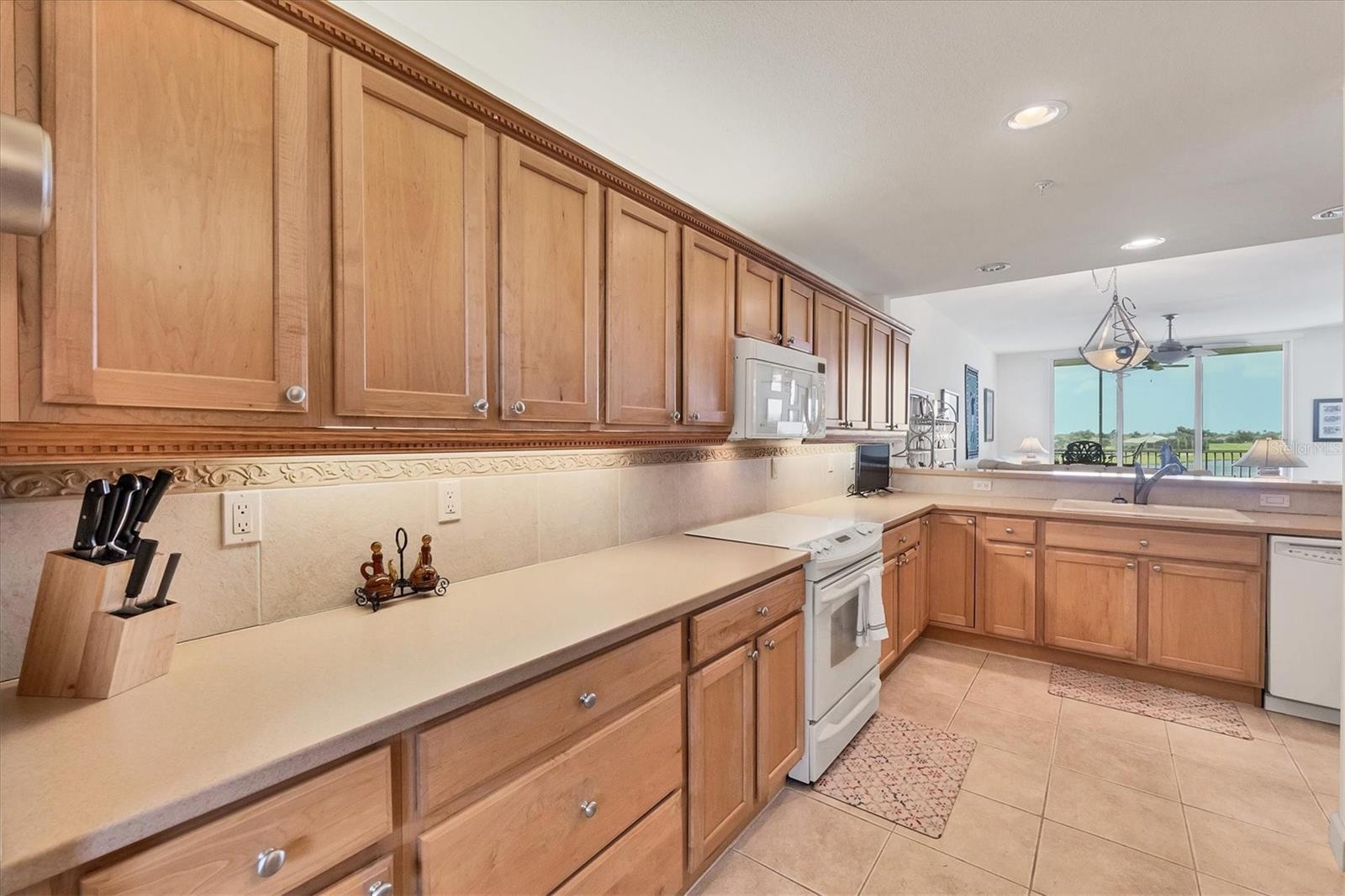 PRESERVE AT WINDWARD PH 1B - Residential