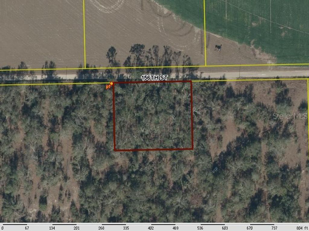 Photo of 156th Street, Live Oak, FL 32060 (MLS # A4675095)