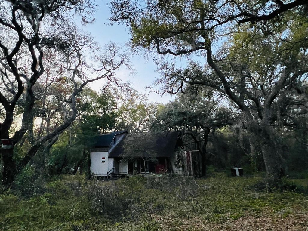 Photo of 19435 SE 92nd Place, Ocklawaha, FL 32179 (MLS # O6346336)