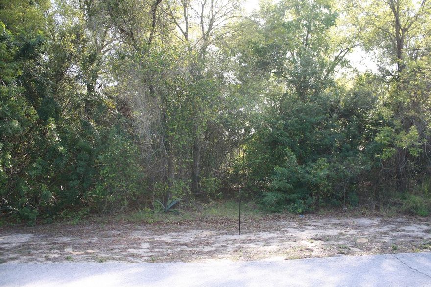 PRICE REDUCED $20,000! Are you looking for the perfect place to build your dream home, this is it. This is a beautiful, wooded lot in the front for privacy and open in the back to allow the amazing view of the grass landing strip right behind your future home. You have open options and lots of choices. This property is close to shopping and major highways but still has privacy. There is NO homeowners association. Drive by and check it out today.