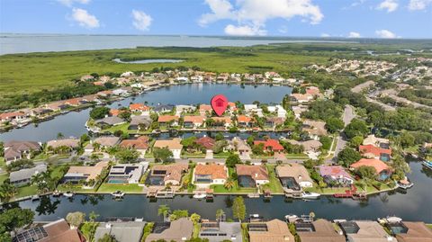 A home in TAMPA