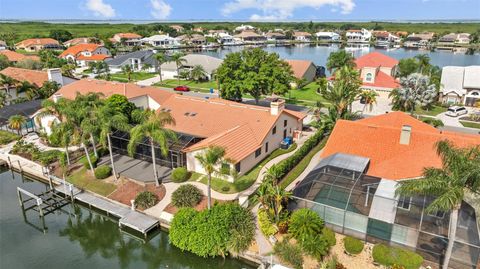 A home in TAMPA