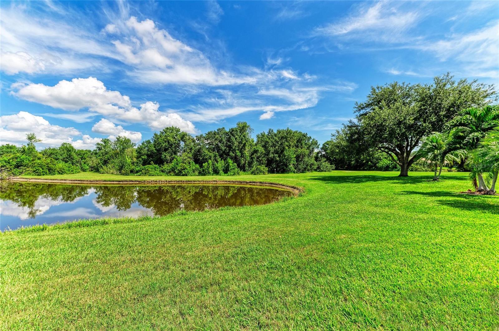 LAKEWOOD RANCH COUNTRY CLUB VILLAGE H - Residential