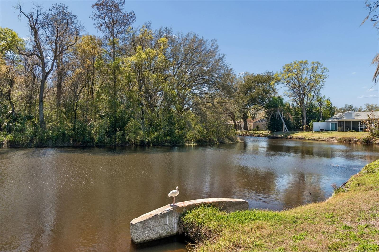 FAIRWAY SPRINGS - Residential