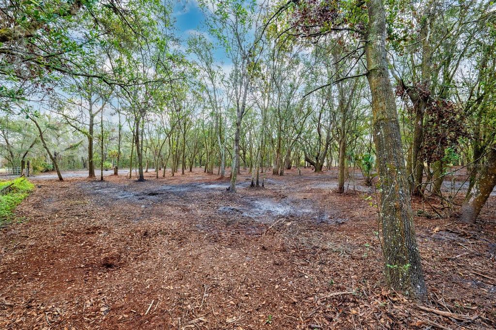 Photo of Justin Lane, Plant City, FL 33565 (MLS # TB8328790)