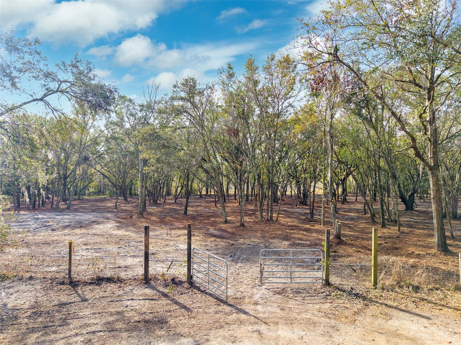 uncover your rural slice of paradise with this beautiful property, just shy of 10 acres in the heartland of Florida. Offering approximately 6.5 acres of buildable land and approximately 2.5 acres of serene wetlands, this partially fenced property is perfect for those seeking privacy and space to create their dream retreat. Enjoy endless possibilities in this peaceful, natural setting! Follow Justine Lane all the way to the west end, property is on the left hand side before it becomes private, county land.