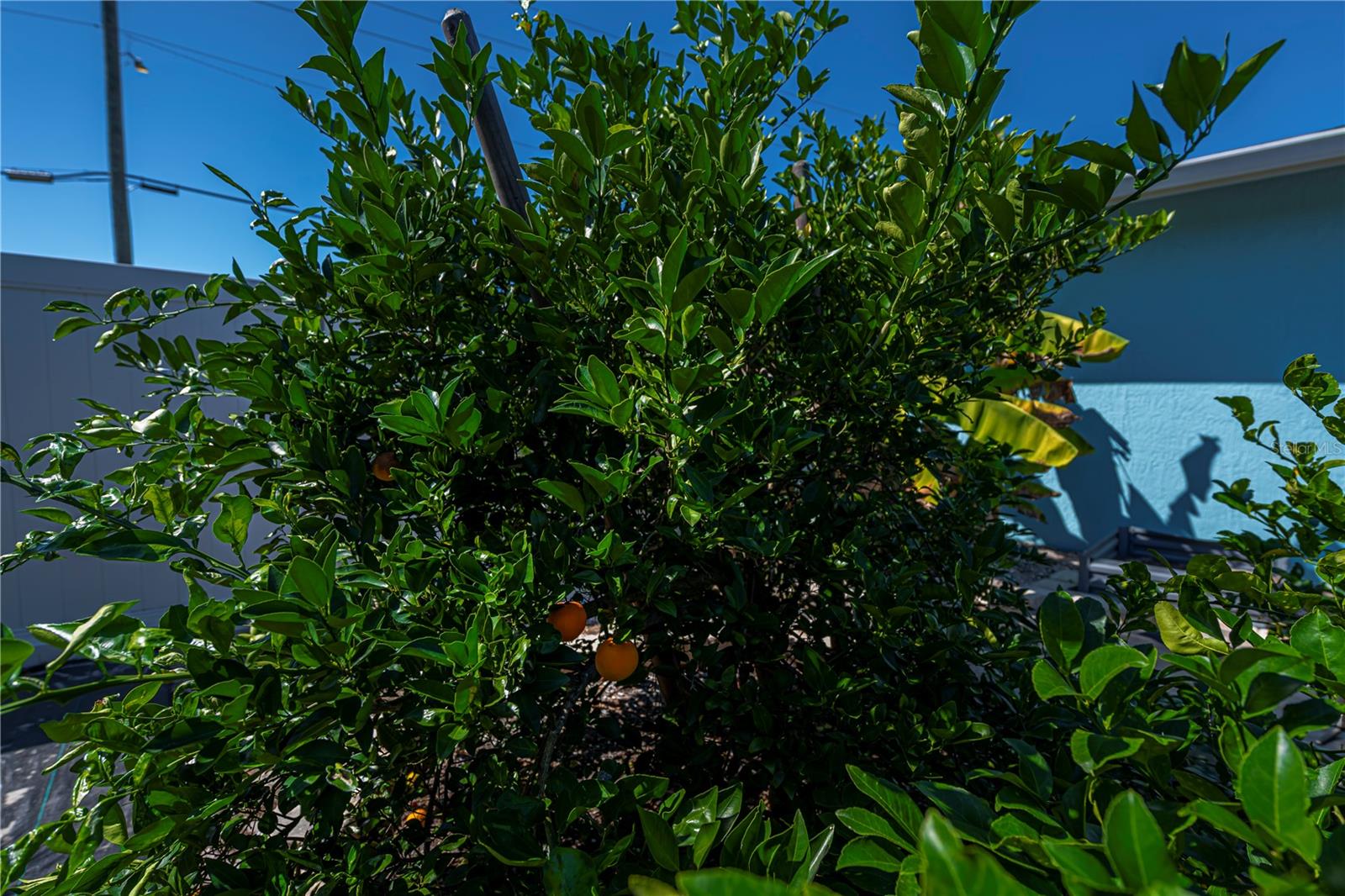 SOUTH VENICE - Residential