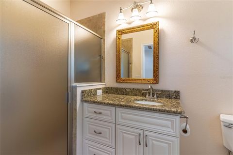 A home in MOUNT DORA