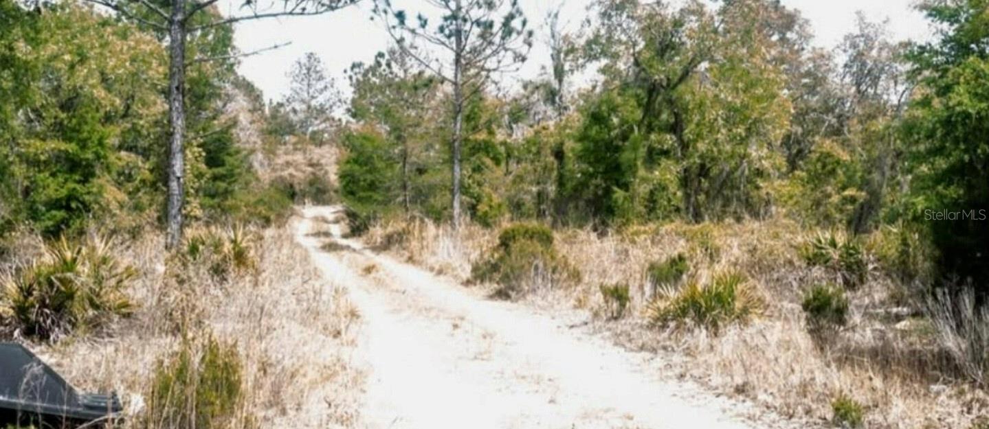 0.23 acres land located in the city of williston in levy county , Fl.
lot is aproximately 30 min to gainesville and ocala . mobile / manufactures homes or build your dream home in this beautiful lot.
no hoa or restriction .