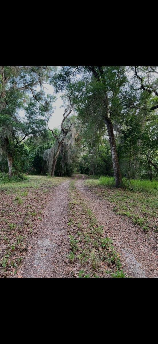 Photo of 20231 Painter Pl, Spring Hill, FL 34610 (MLS # W7889158)