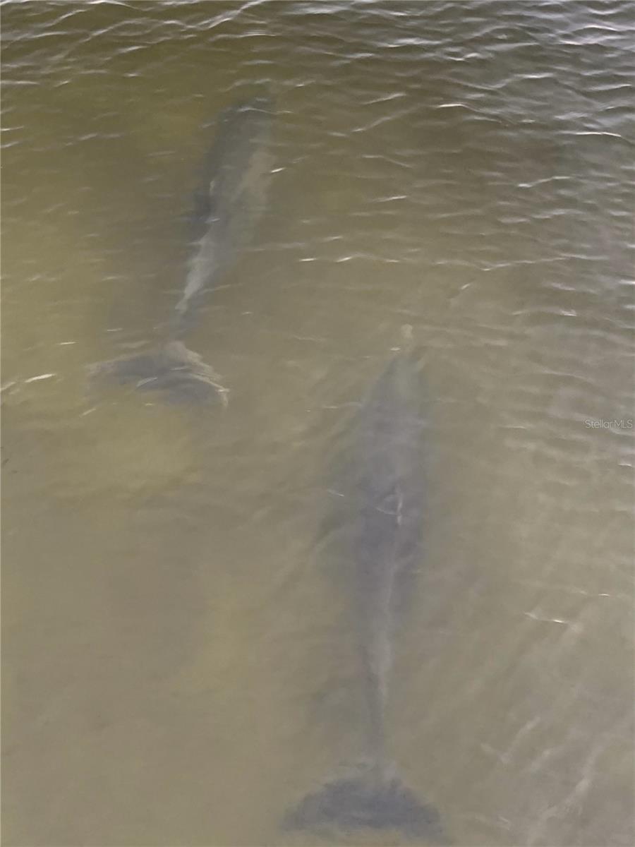 VENETIAN ISLES - Residential