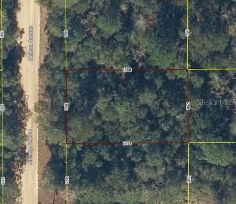 Lot 17 NEILSEN AVENUE INTERLACHEN FL 32148