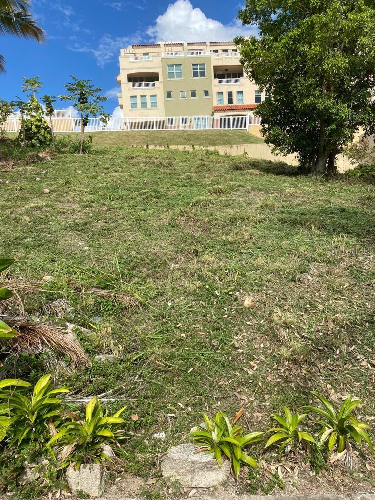 In the resort community of Palmas del Mar you can build on Monte Carlo Palmas del Mar, Lots 228 - 229. You can still find great deals on the Market today. We have two Town House Lots (2) adjacent 228 and 229 being offered for $260,000.
You will agree that there is nothing like building the home that will accommodate your needs, style and taste. The right size rooms, the kitchen comforts, play areas, formal and informal and maybe add a pool. Maybe even a roof top terrace, garden area, verandahs' to sit out and just enjoy the pleasures that surround you. The community of Palmas del Mar is just 45 miles from the San Juan International airport. This hidden treasure is an enclosed community with Golf, Tennis, Sandy Beach, an array of restaurants from Formal to Informal, Bank, English Academy, Shops, Hotels, Pterocarpas Forest, Walking trails, and yet total privacy. You could live happily forever in this spot. Monte Carlo 228-229 (sold together) yours at the asking.