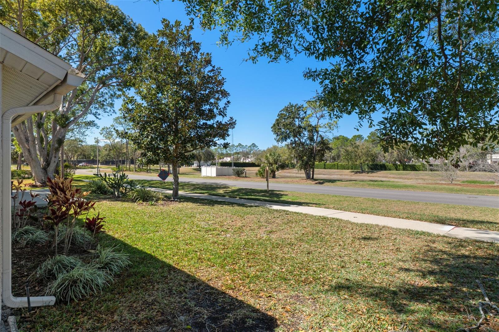 TIMBER PINES - Residential