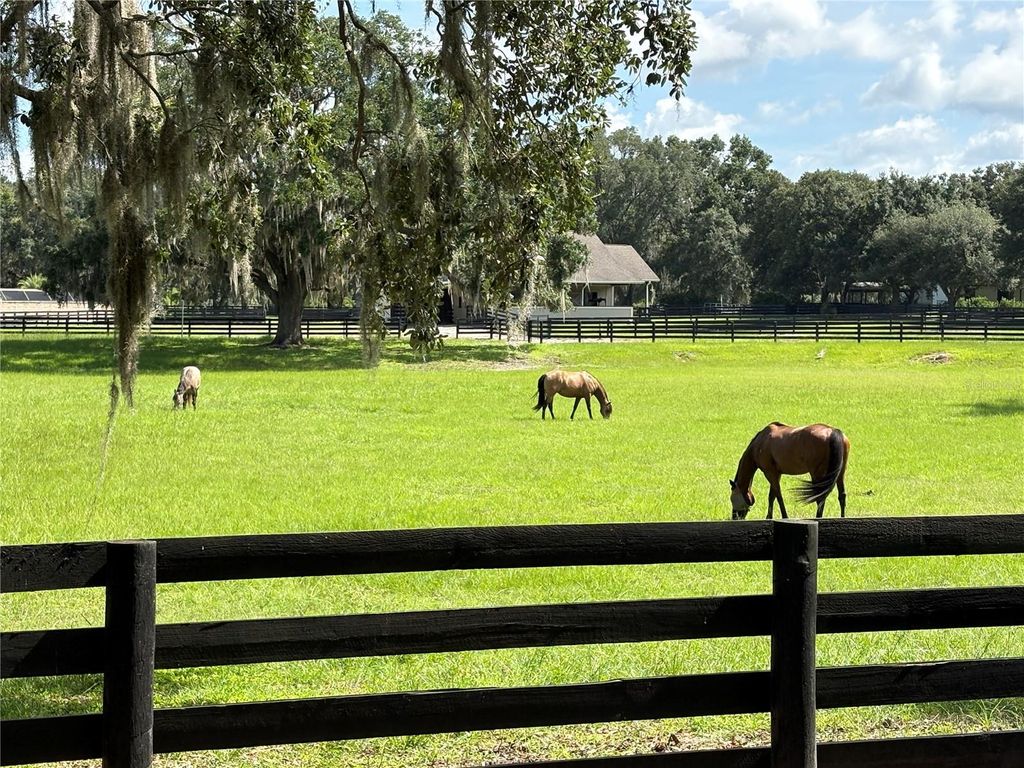 Photo of 17037 SE 76th Creekside Circle, The Villages, FL 32162 (MLS # G5098206)