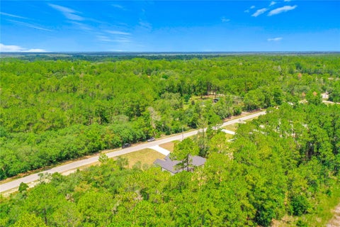 Tiny photo for 41334 Persimmon Street, Eustis, FL 32736 (MLS # O6420889)