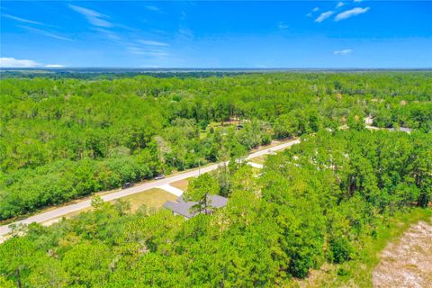 Tiny photo for 41334 Persimmon Street, Eustis, FL 32736 (MLS # O6420889)