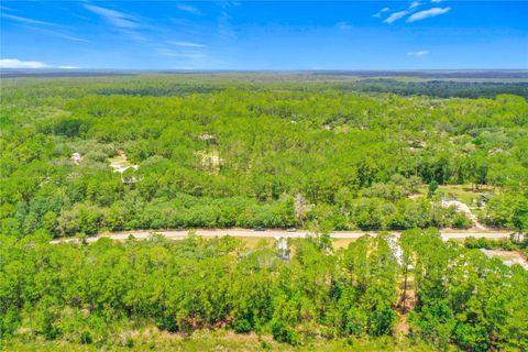 Tiny photo for 41334 Persimmon Street, Eustis, FL 32736 (MLS # O6420889)