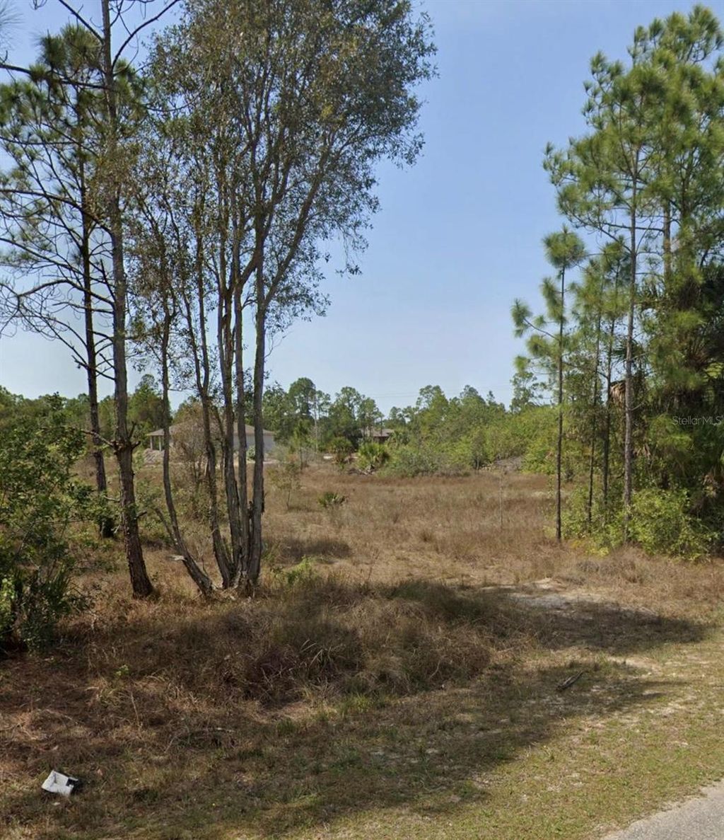 Photo of 919 Euclid Avenue, Lehigh Acres, FL 33972 (MLS # TB8469129)