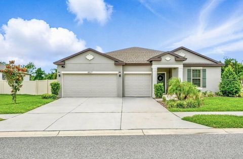 Photo of 18527 Cortes Creek Boulevard, Spring Hill, FL 34610 (MLS # TB8398776)