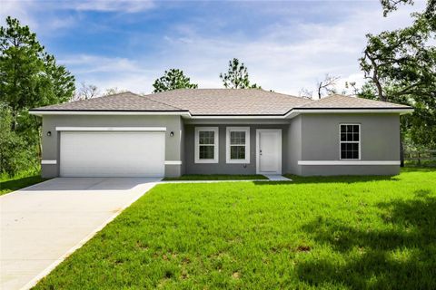 Photo of 1569 W Mcneal Drive, Citrus Springs, FL 34434 (MLS # O6265717)