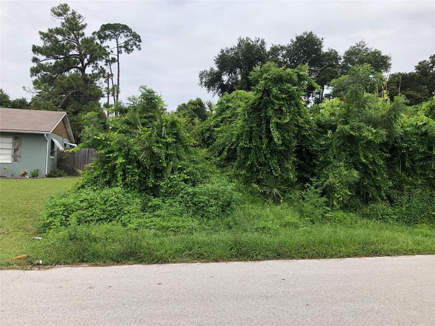 Now is the time to grab this beautiful 80 x 125 lot on one of the truly great streets in Florida Shores. Build your home in a neighborhood where you want to be.  You will be close to the beach and Mosquito Lagoon where fabulous fishing is only a few minutes away. You will have easy access to I-95, I-4, Jacksonville, Orlando, Miami and Disney is just down the road.  Your new home is convent to new neighborhood recreation park, just finished in your neighborhood.
Let's get started on construction today.; Cleared: No ;Water: City