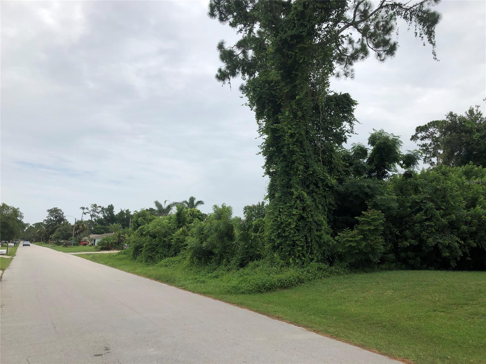 Florida Shores 01 - Land