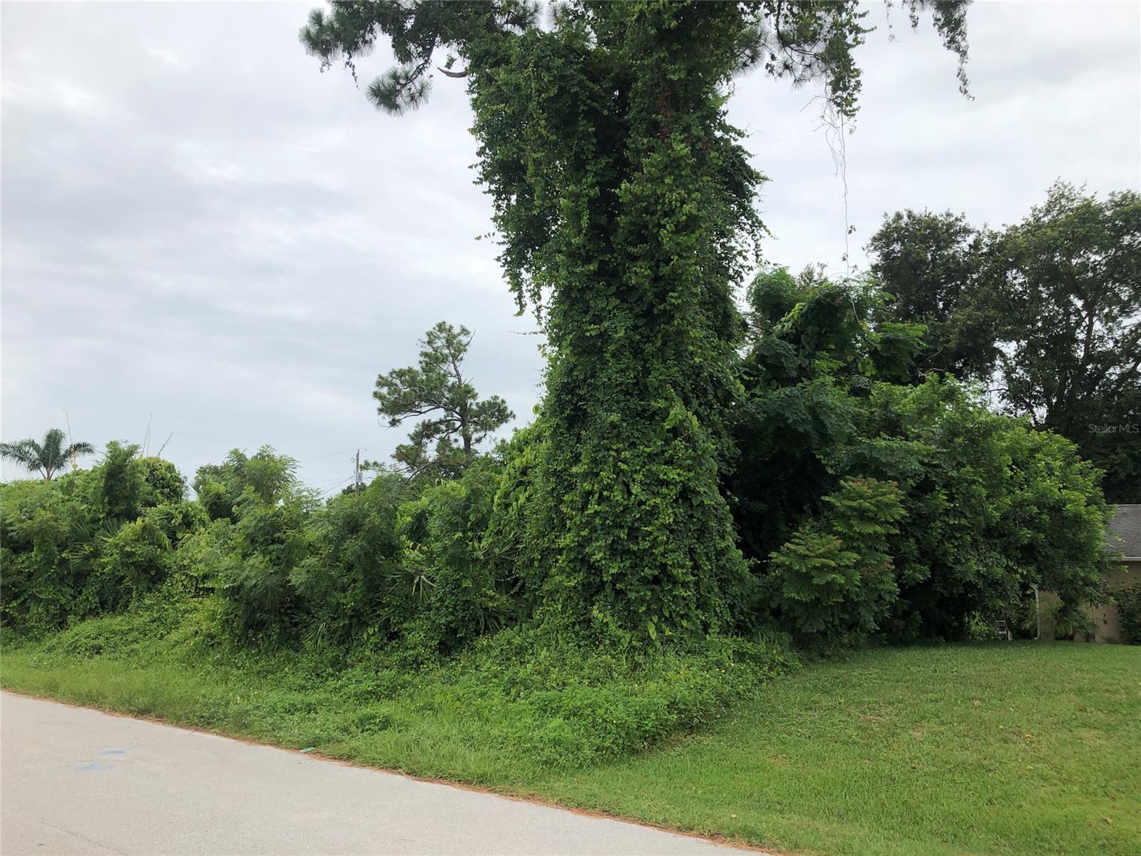 Florida Shores 01 - Land