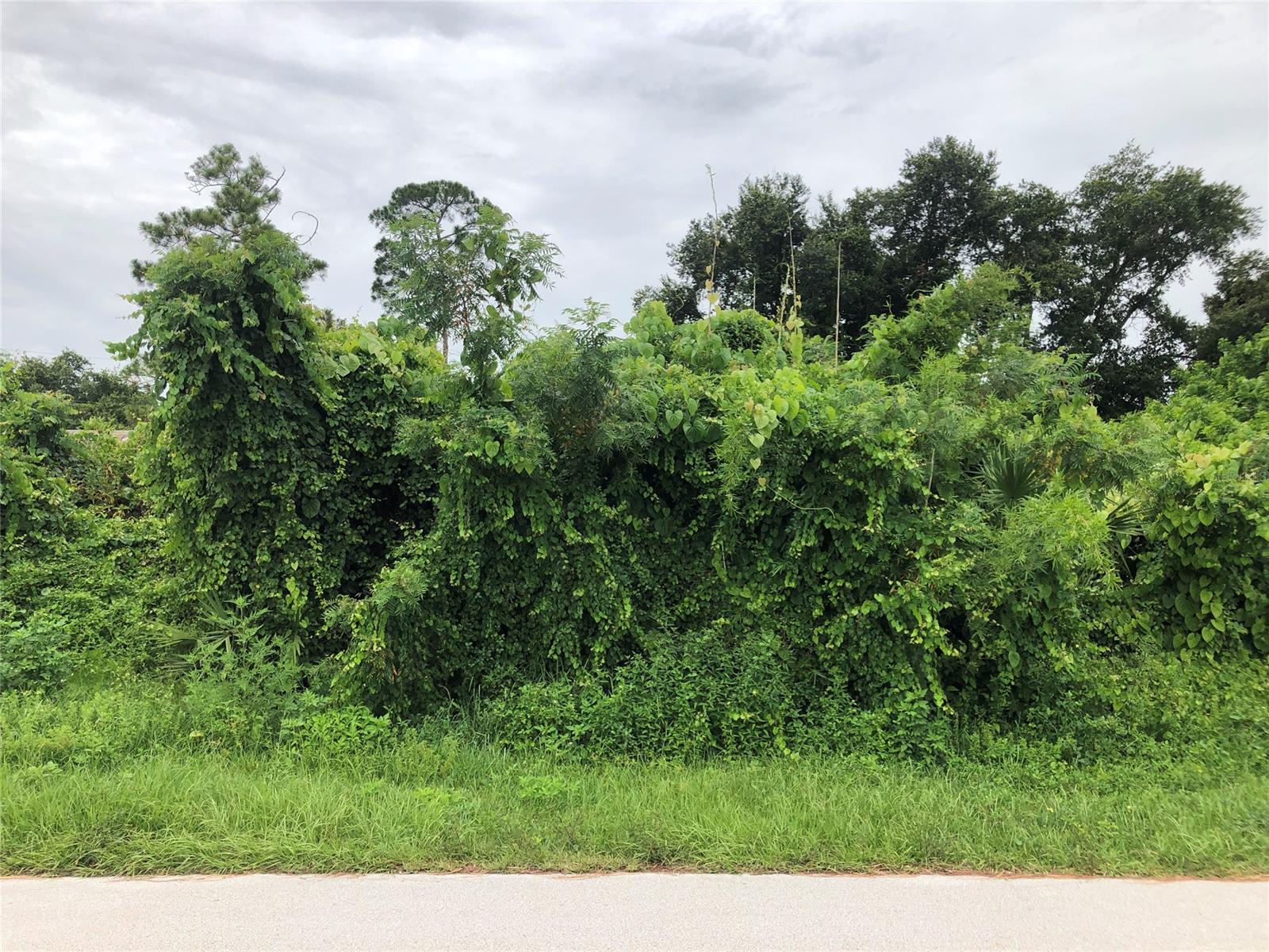 Florida Shores 01 - Land