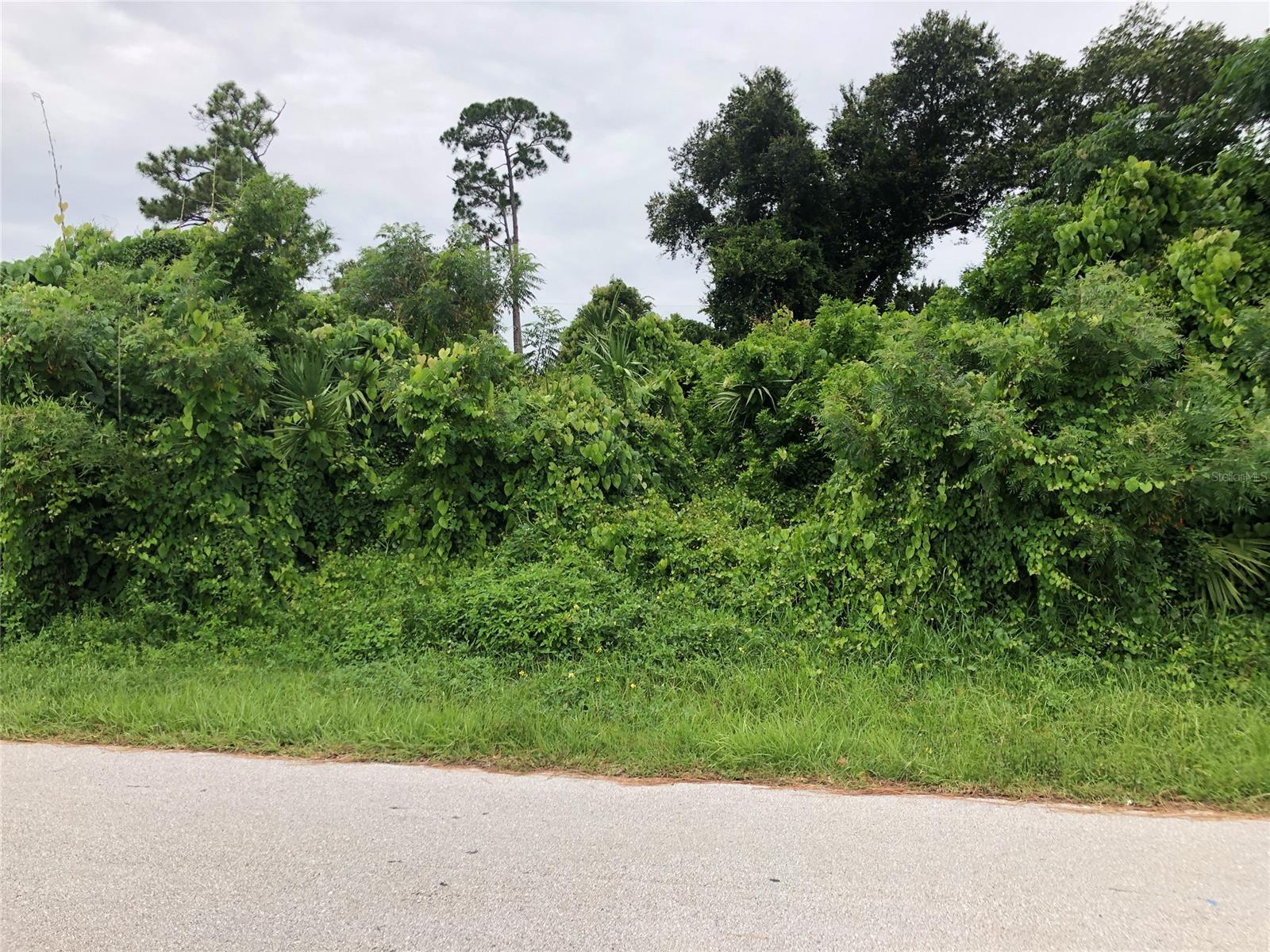 Florida Shores 01 - Land