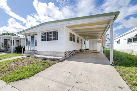 A home in DUNEDIN