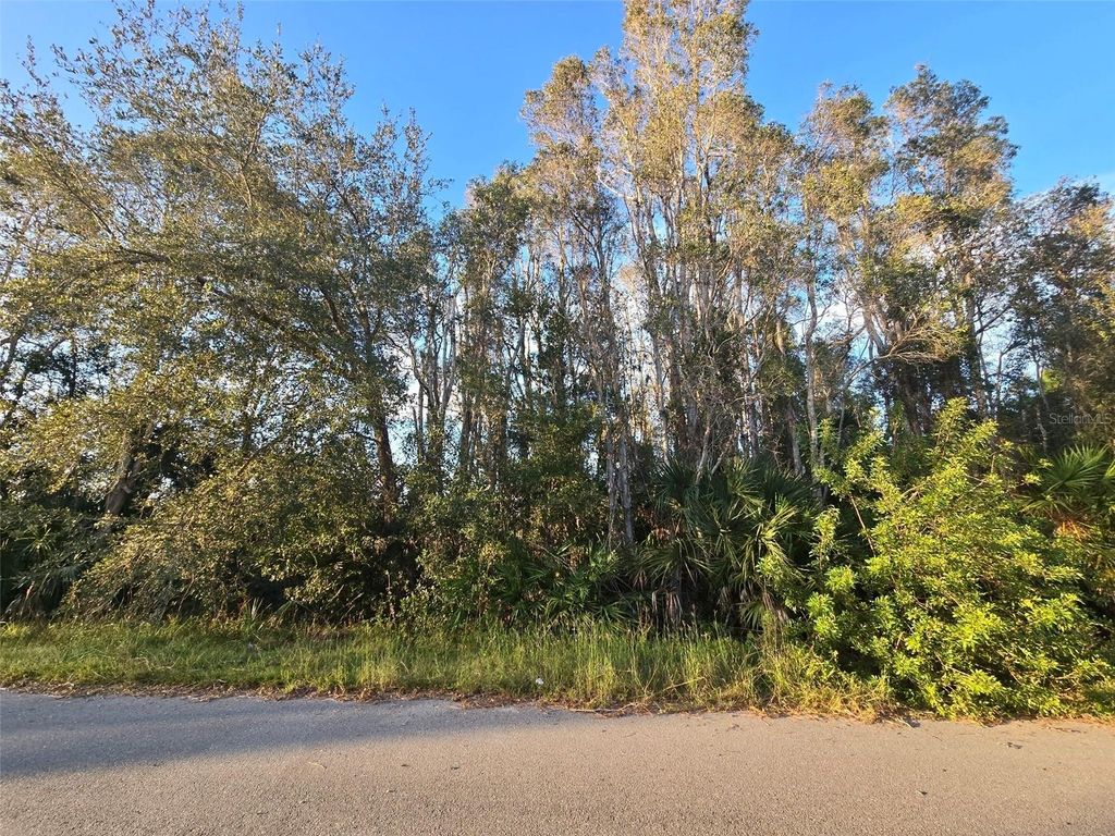 Photo of 3402 39th St SW, Lehigh Acres, FL 33976 (MLS # GC525885)