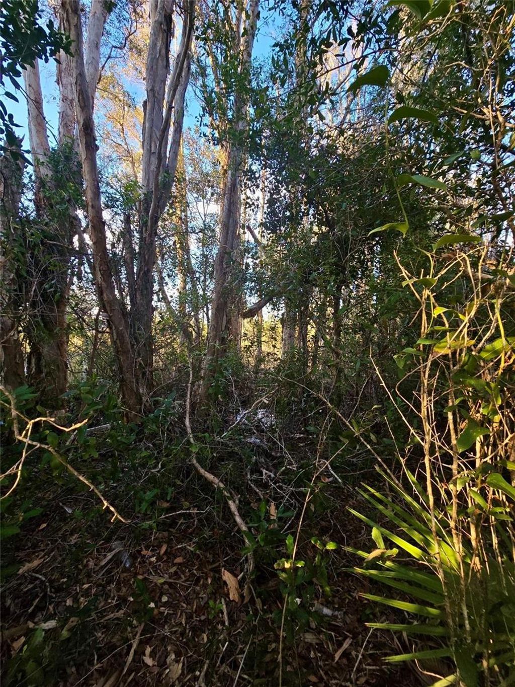 Photo of 3402 39th St SW, Lehigh Acres, FL 33976 (MLS # GC525885)