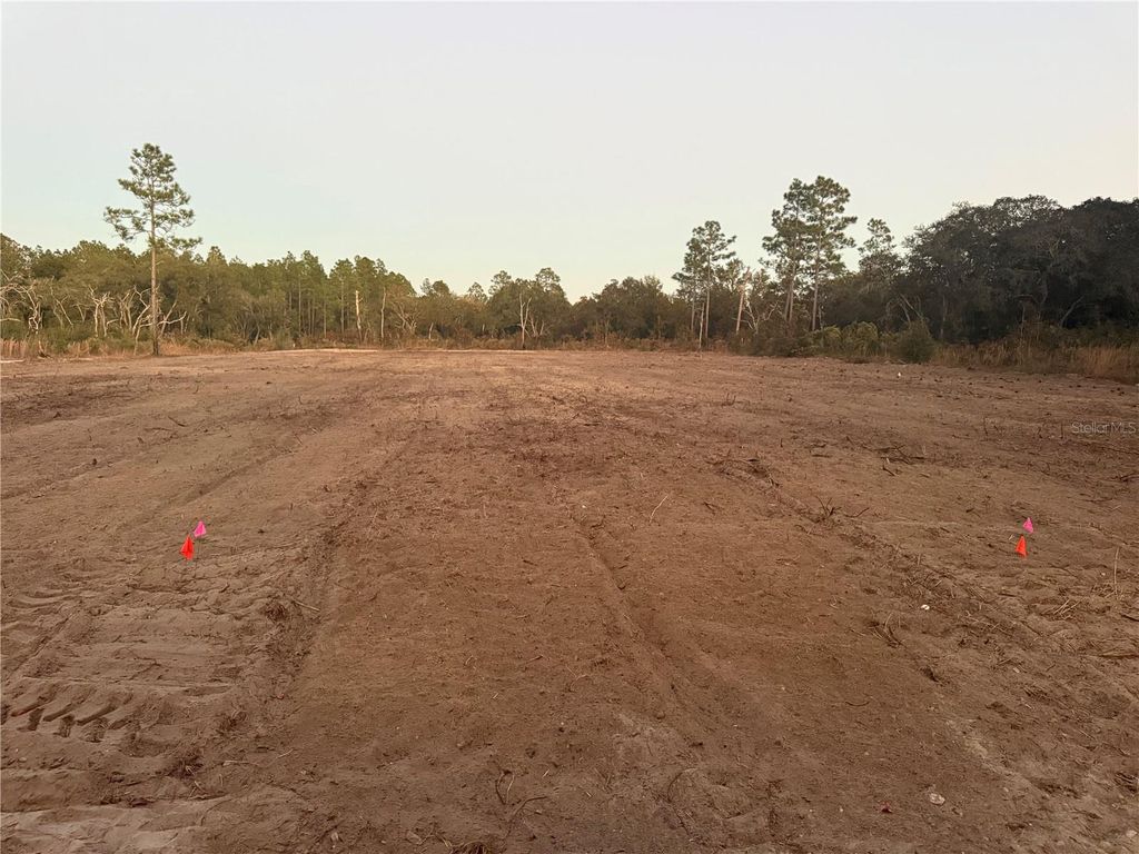 Photo of 7251 NE 105th Avenue, Bronson, FL 32621 (MLS # GC536367)