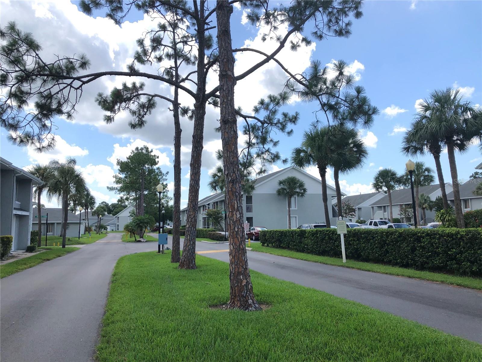 Pine Shadows Condo. Ground floor, 2 bedroom 2 bathroom, one story unit. Washer and dryer included. Large walk in closet. Screened in porch. Corner unit. Community pool, tennis and basketball. Close to Valencia College, shopping, restaurants and business offices.