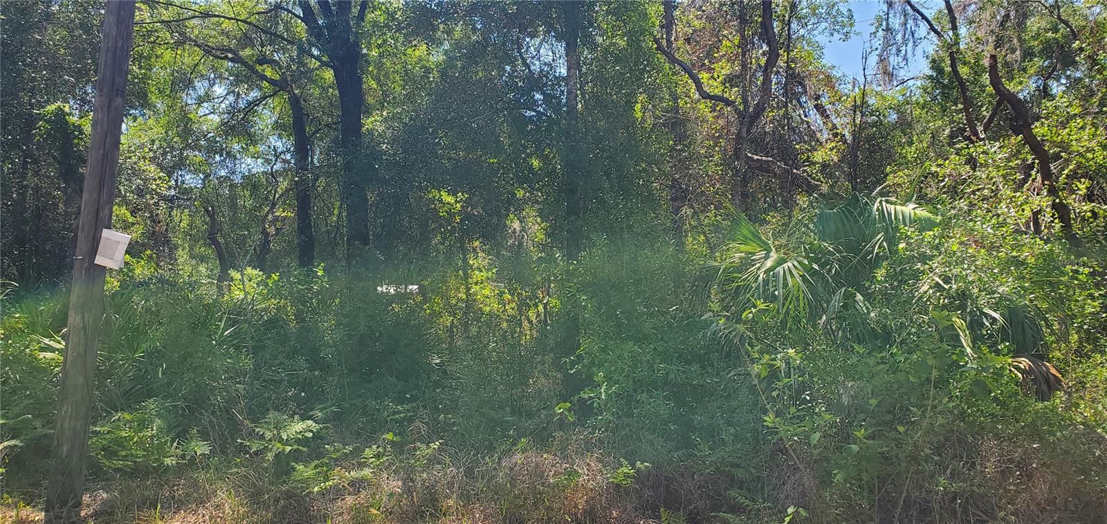 MOON LAKE ESTATES - Land