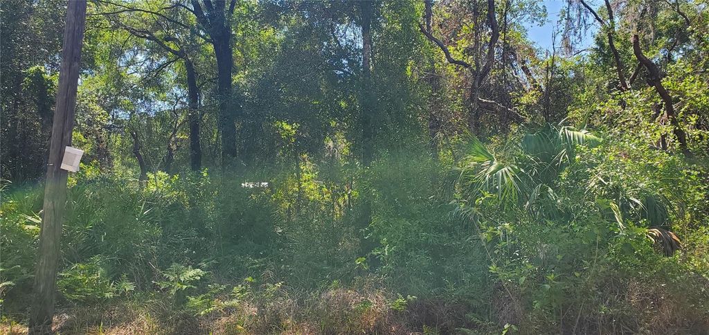 Photo of Doaks Street, New Port Richey, FL 34654 (MLS # W7885863)