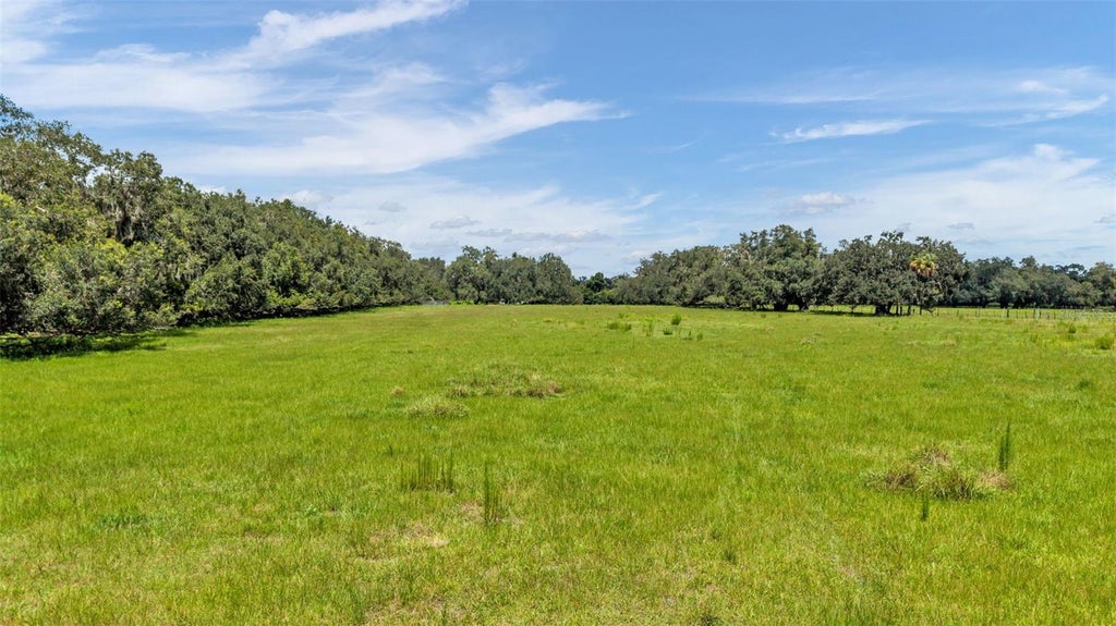 Photo of 1620 Sparkman Road, Plant City, FL 33566 (MLS # L4964437)
