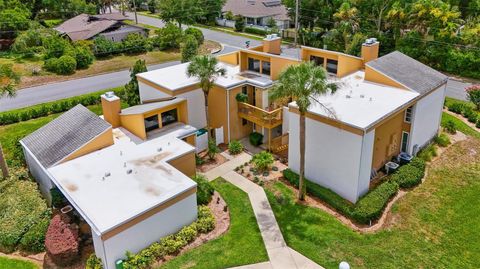 A home in MOUNT DORA