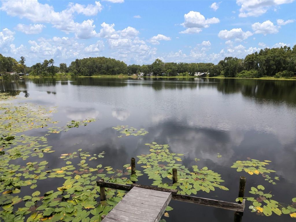 Photo of 1934 Rowland Drive, Odessa, FL 33556 (MLS # TB8404264)