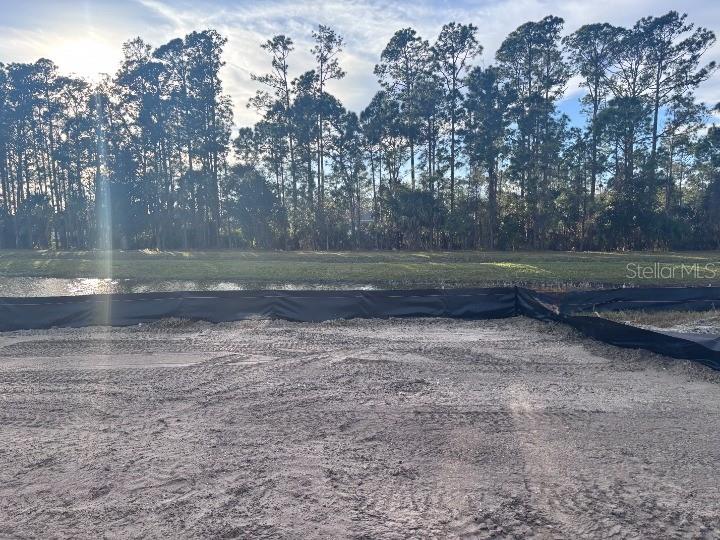 ARDISIA PARK - Residential