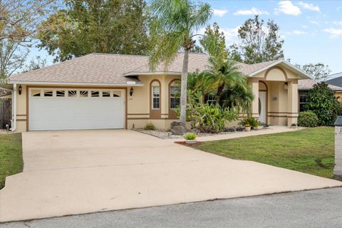 A home in PALM COAST