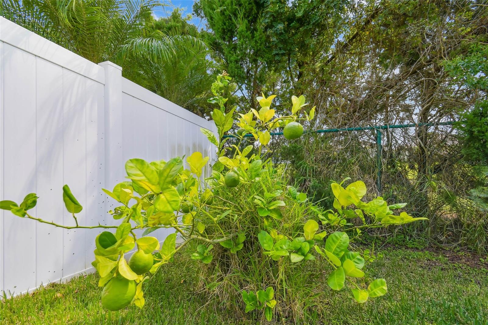 VILLAGES/TRINITY LAKES - Residential Lease