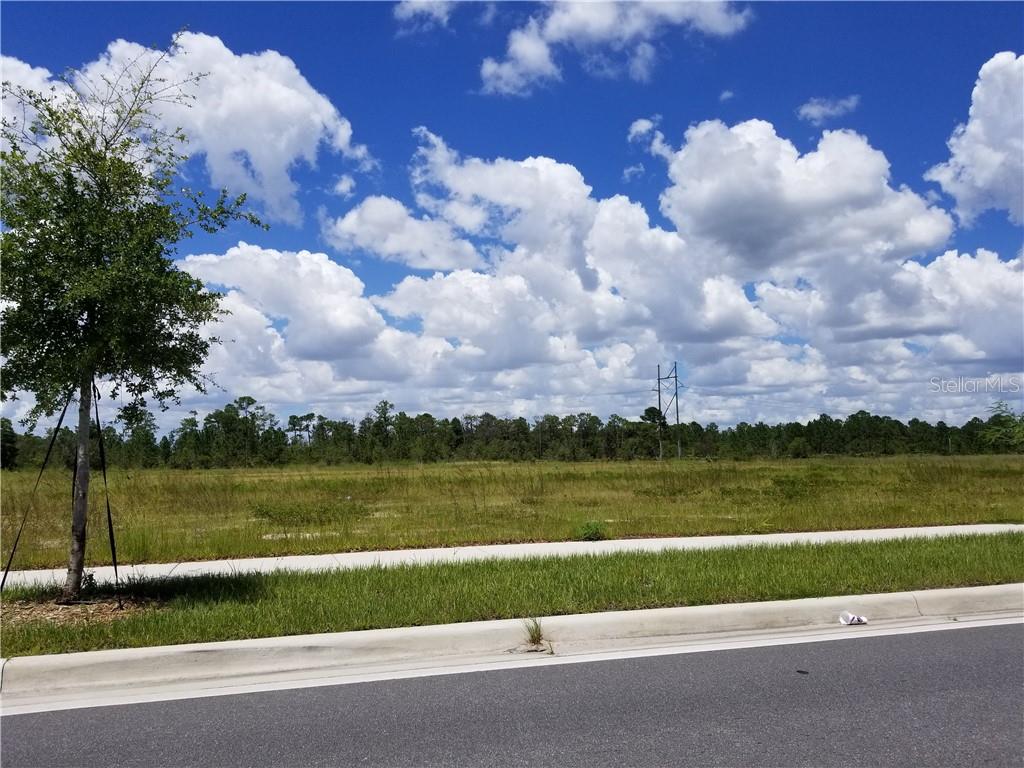 S APOPKA VINELAND ROAD