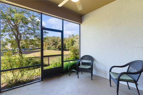 A home in MOUNT DORA