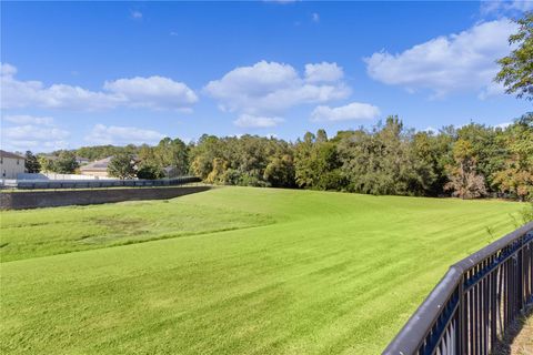 A home in MOUNT DORA