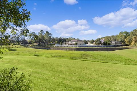 A home in MOUNT DORA