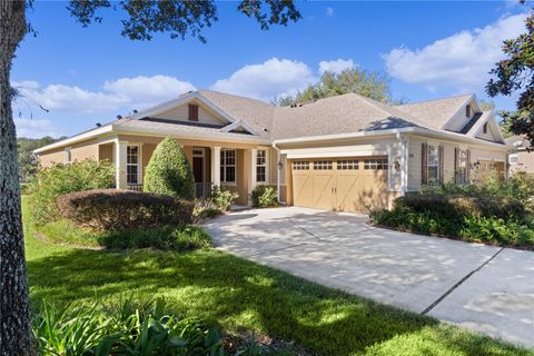 A home in MOUNT DORA